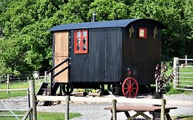 Meadow Shepherds Hut